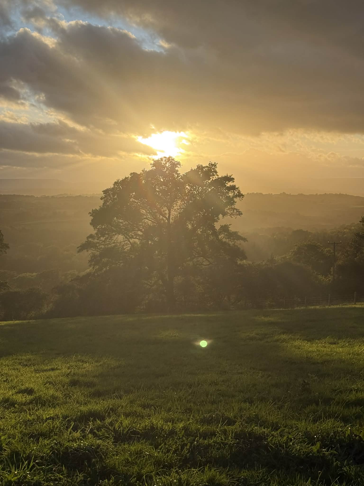 Farm owners interacting gently with a llama in the valley
